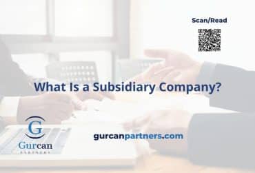 what is a subsidiary company